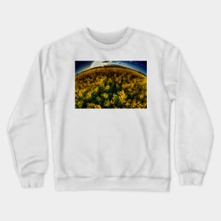 Essex Rapeseed Field Crewneck Sweatshirt